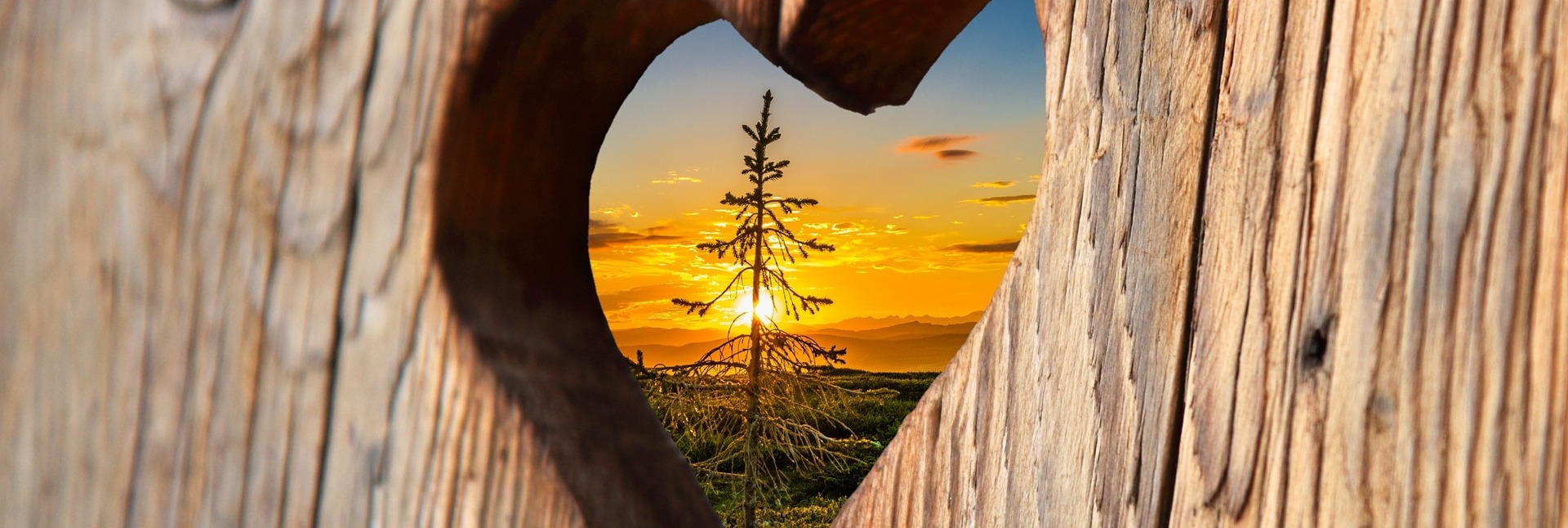 Alles, was ihr tut, geschehe in Liebe.